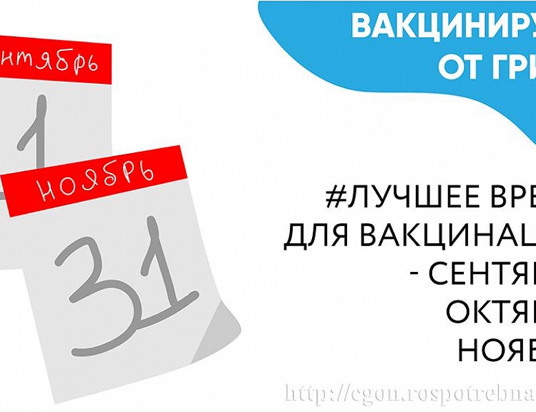 Информирование населения о мерах профилактики гриппа и ОРВИ (Роспотребнадзор)
